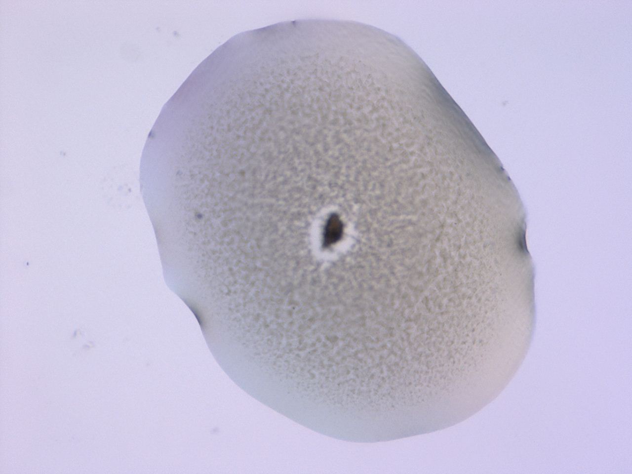 047b_E10_ImagerDefaults_3.jpg