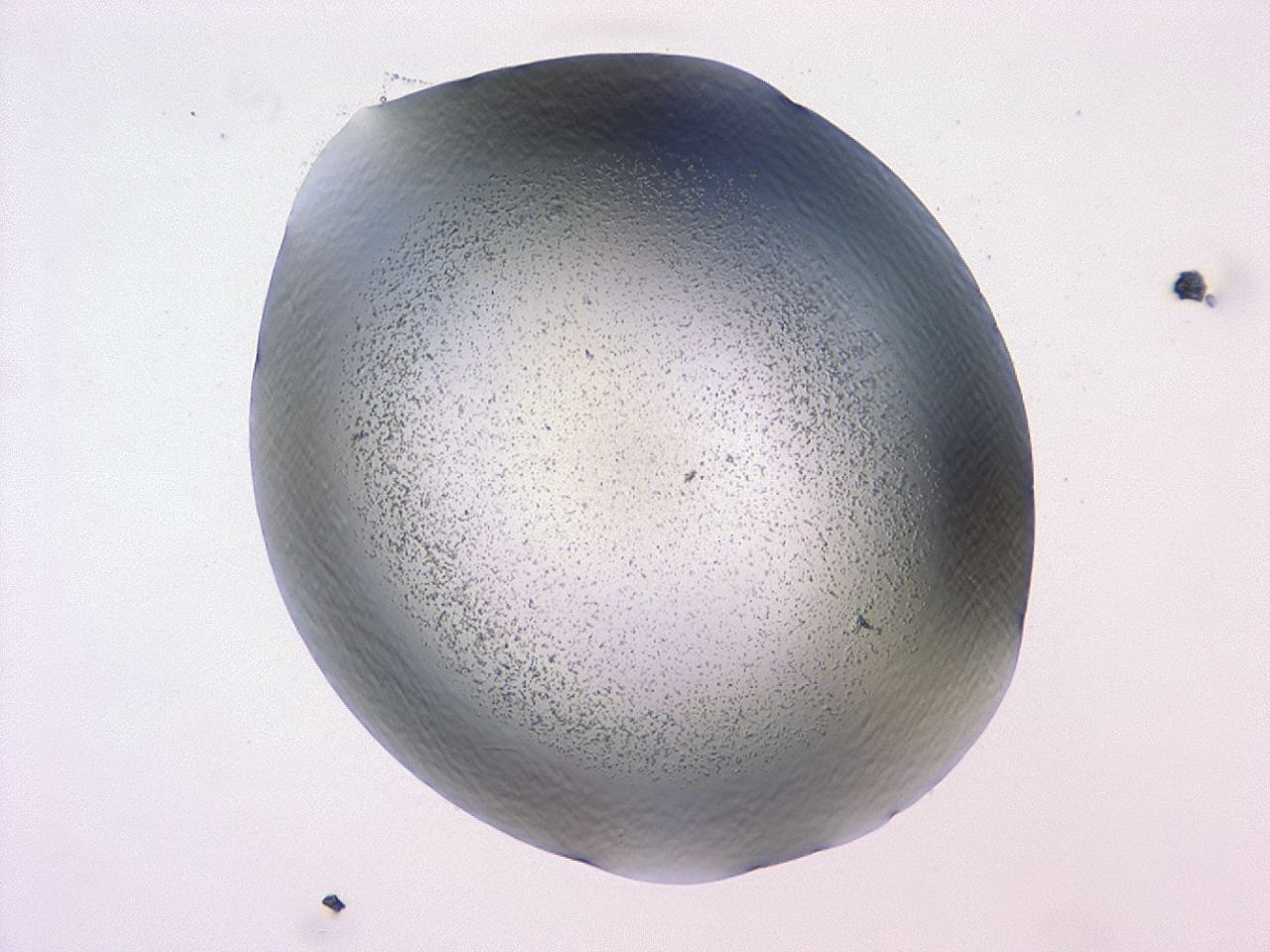 047b_E11_ImagerDefaults_3.jpg