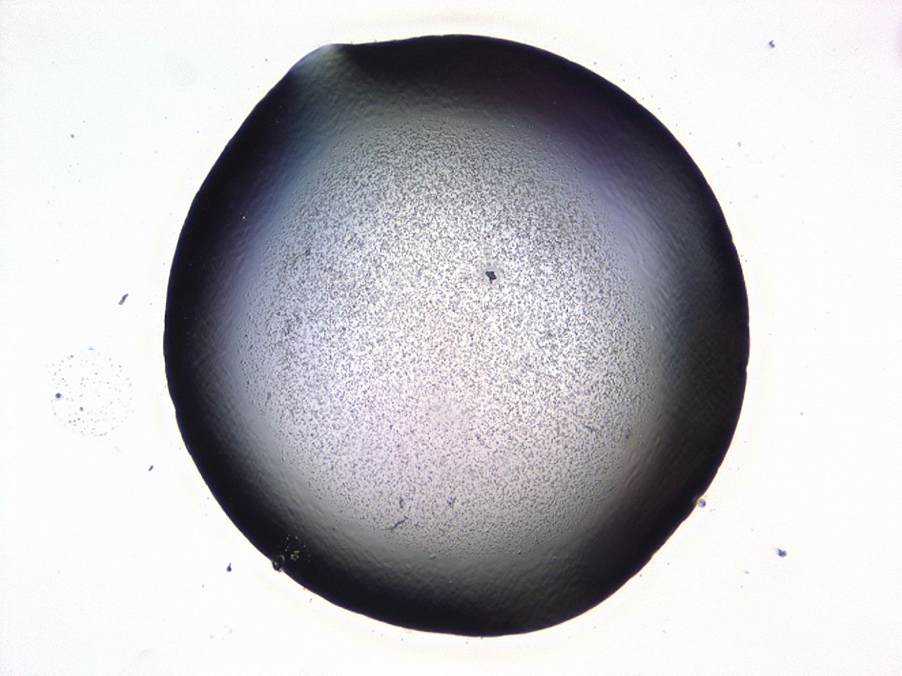 047b_E12_ImagerDefaults_3.jpg