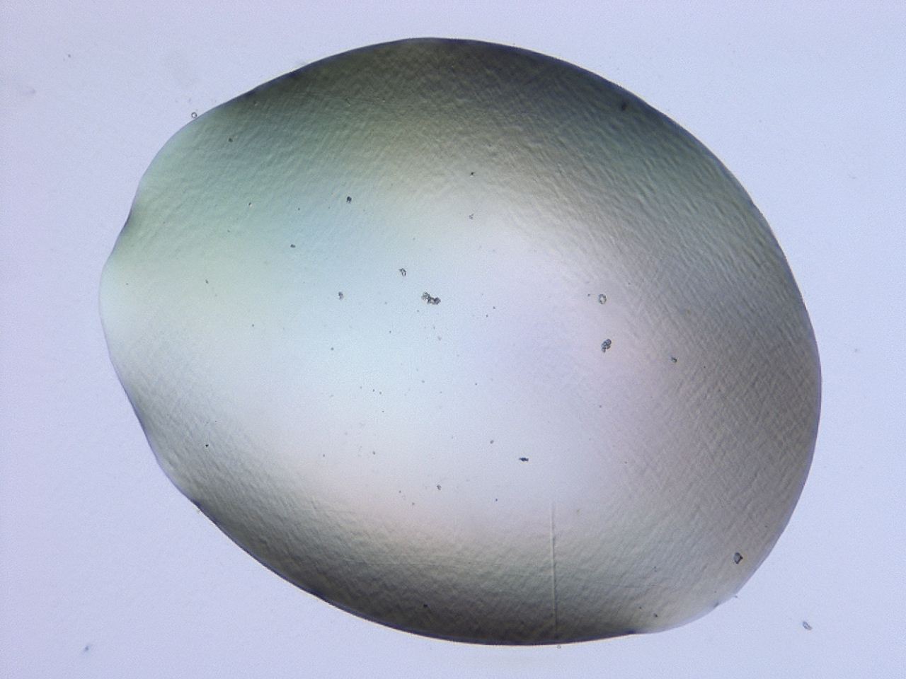 047b_F2_ImagerDefaults_0.jpg