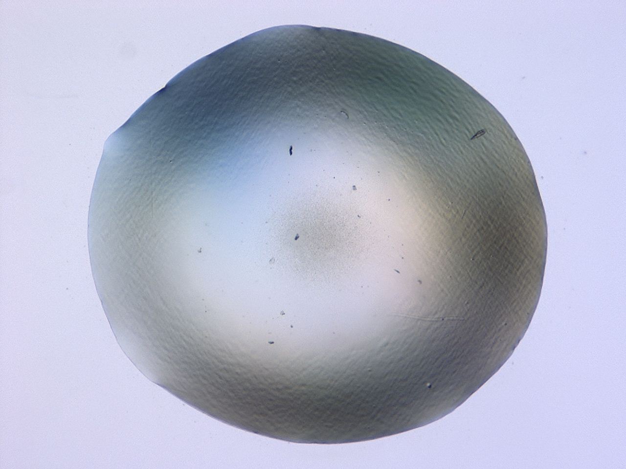 047b_F6_ImagerDefaults_0.jpg