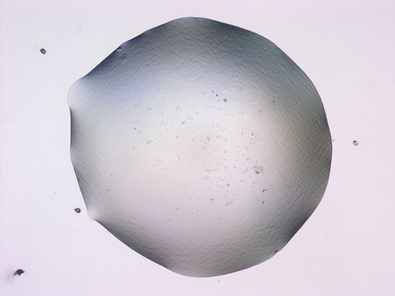 047b_F7_ImagerDefaults_0.jpg