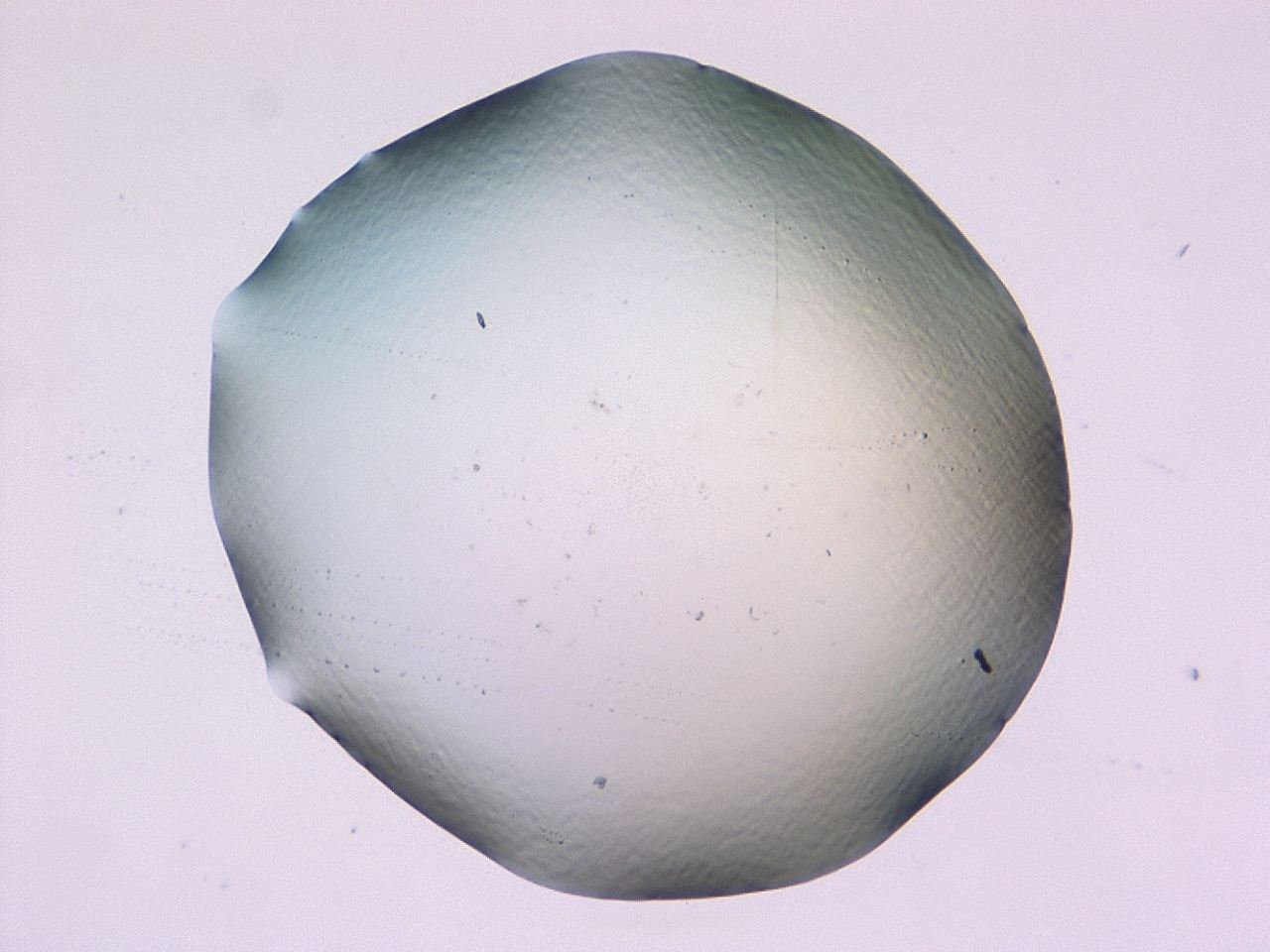047b_F8_ImagerDefaults_0.jpg