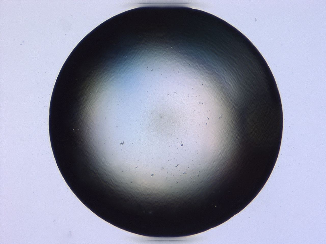 047b_F10_ImagerDefaults_0.jpg