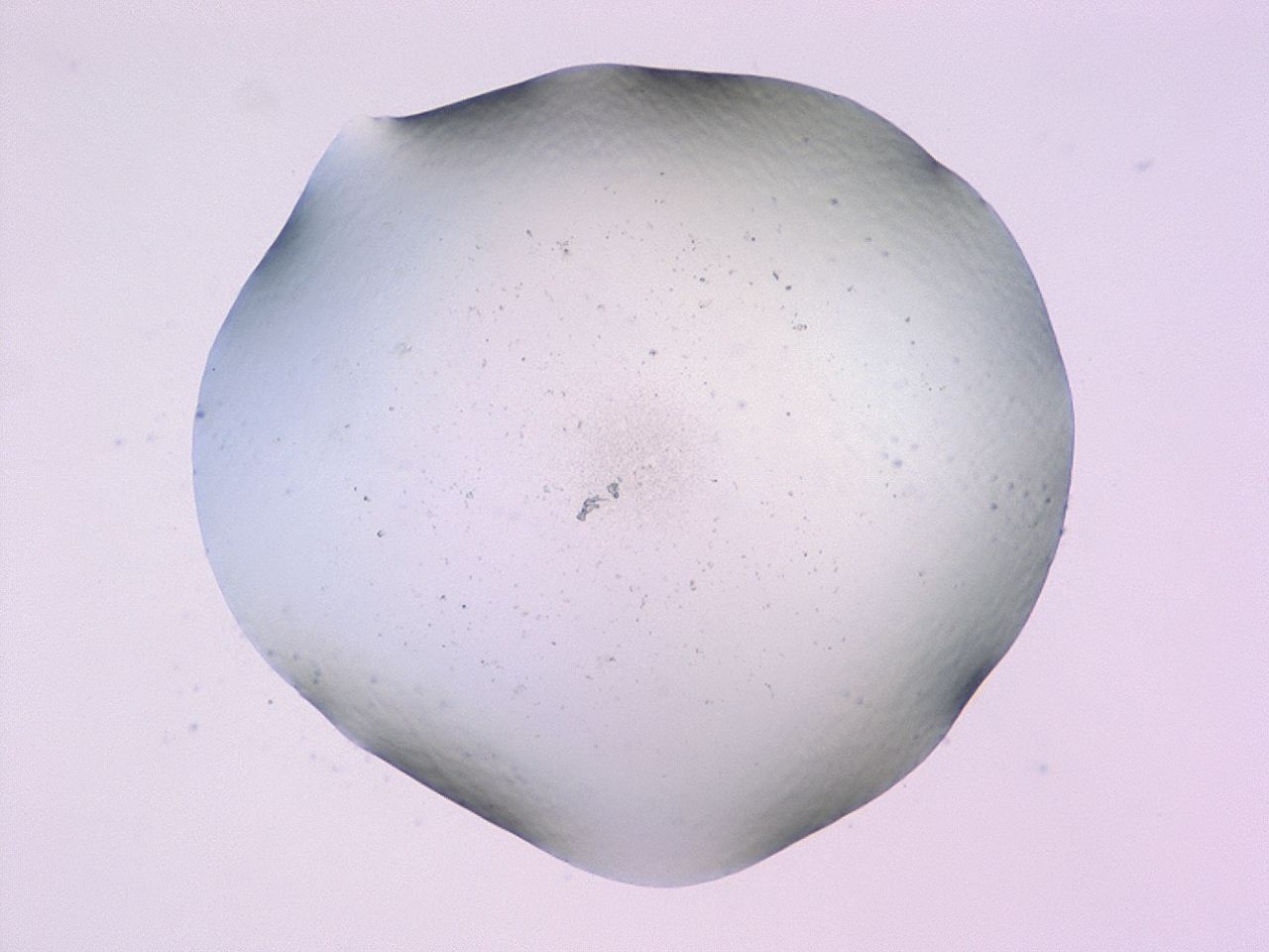 047b_F12_ImagerDefaults_0.jpg
