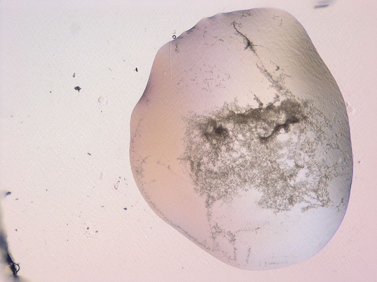 047b_G2_ImagerDefaults_3.jpg