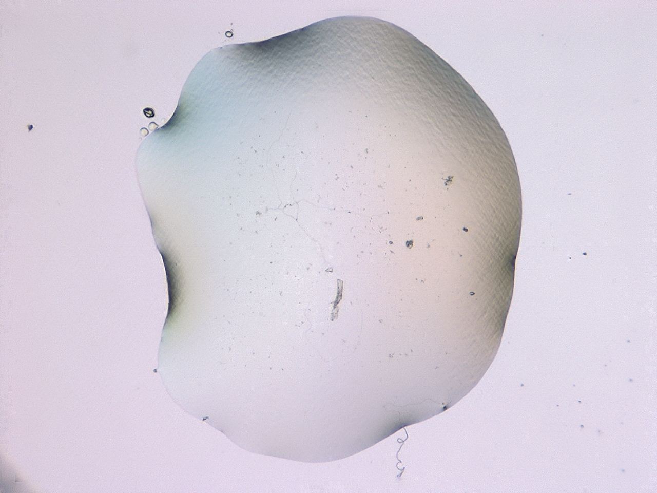 047b_G5_ImagerDefaults_0.jpg