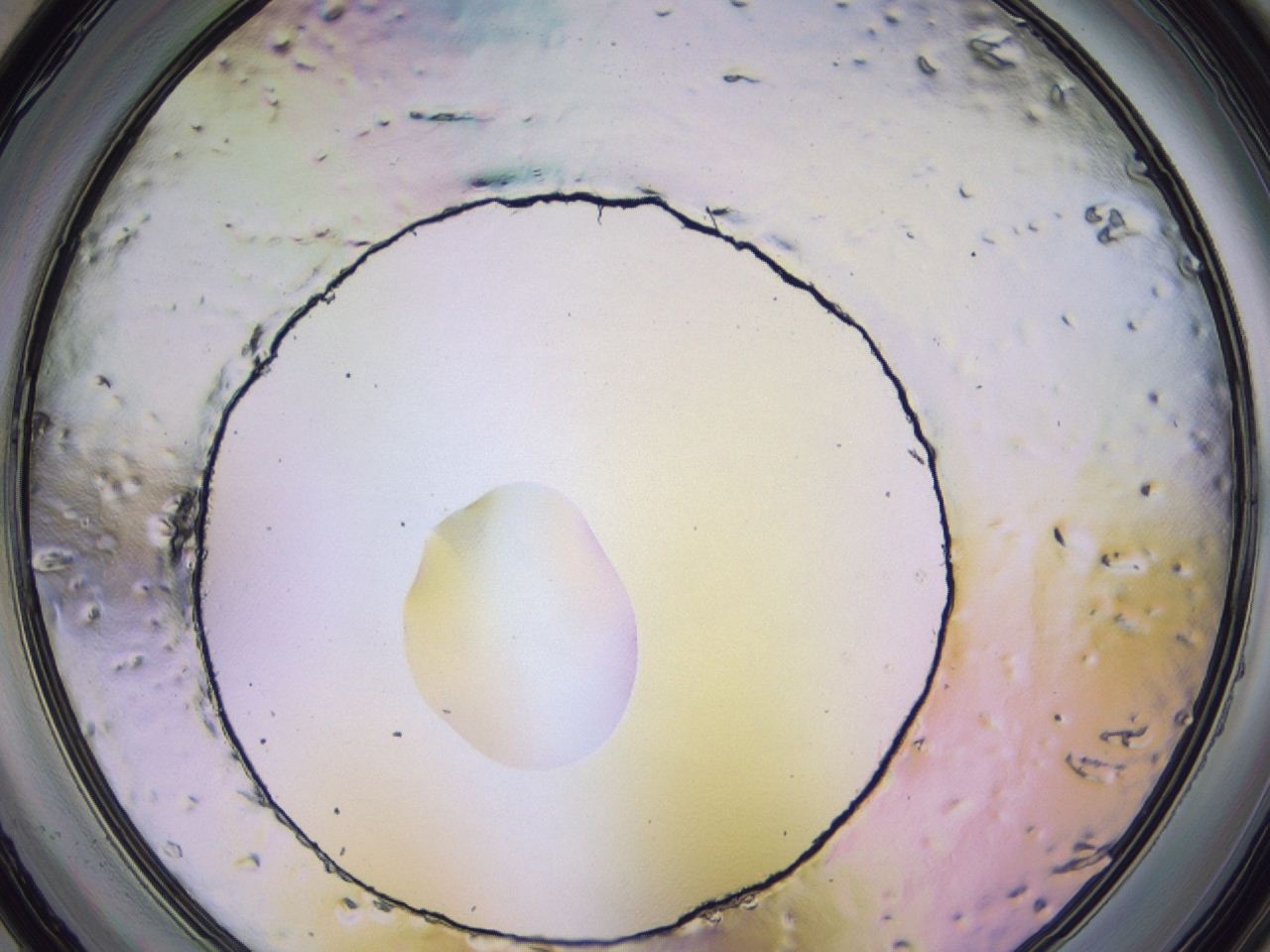 047b_G6_ImagerDefaults_0.jpg