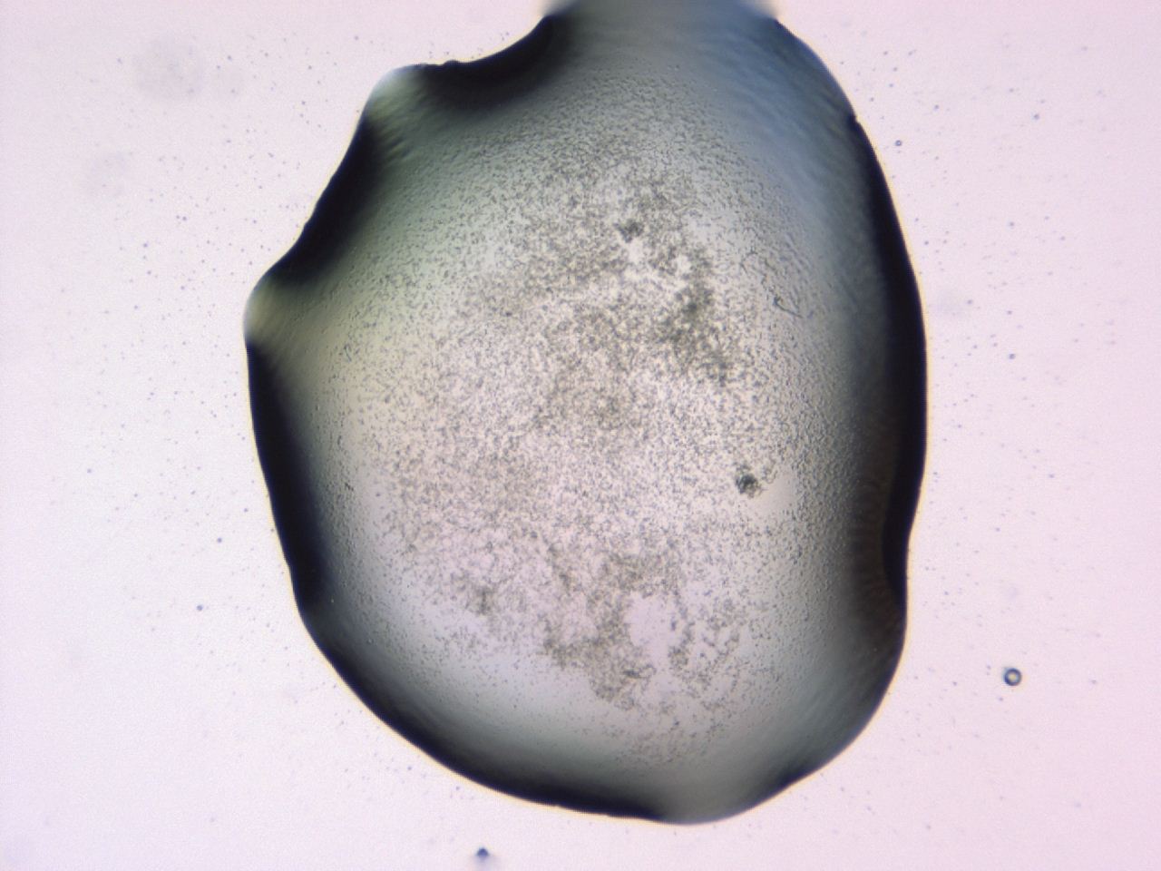 047b_G8_ImagerDefaults_3.jpg