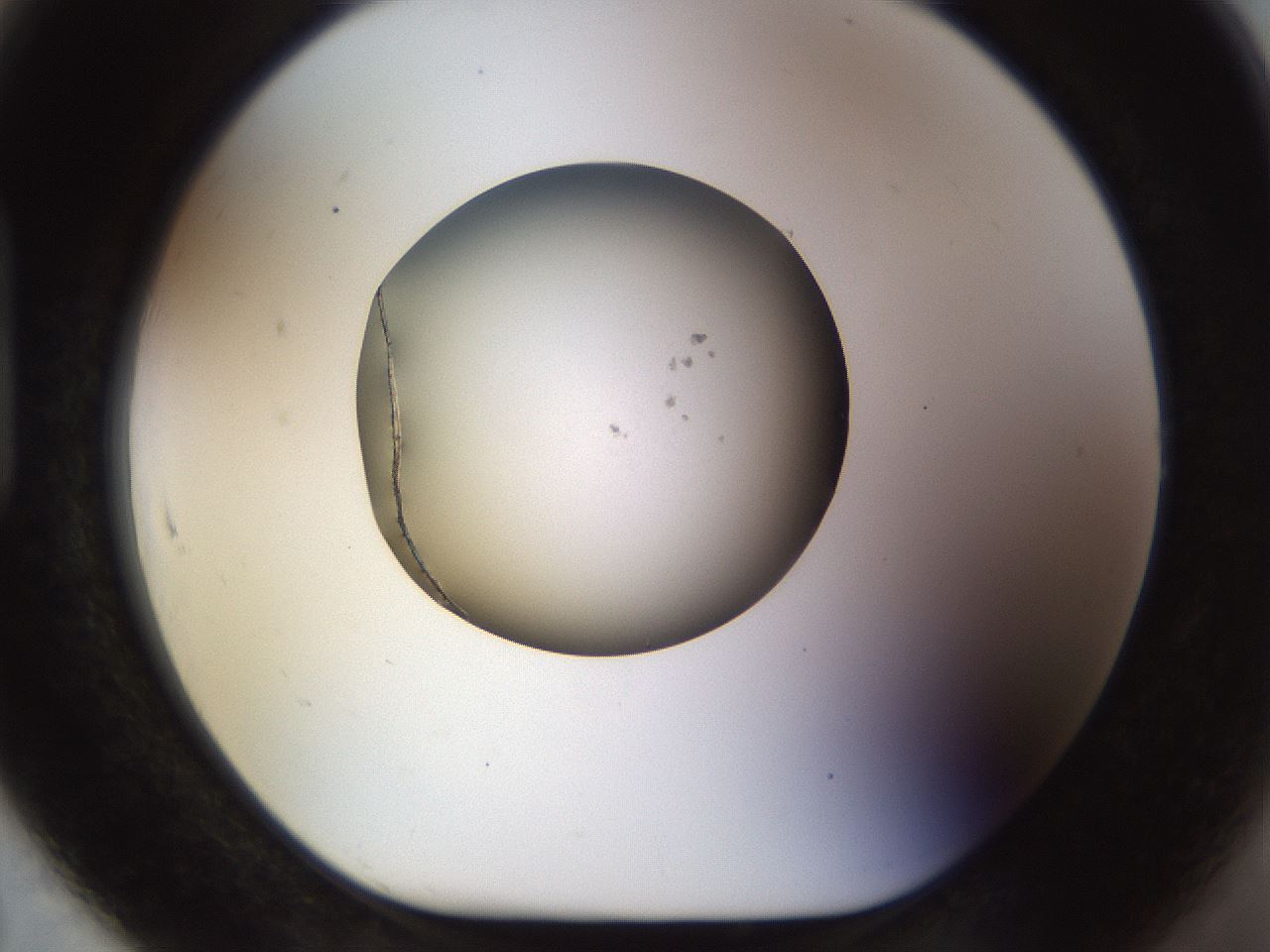 folderID449_plateID1449_batchID5649_wellNum91_profileID1_d1_r92086_ef.jpg