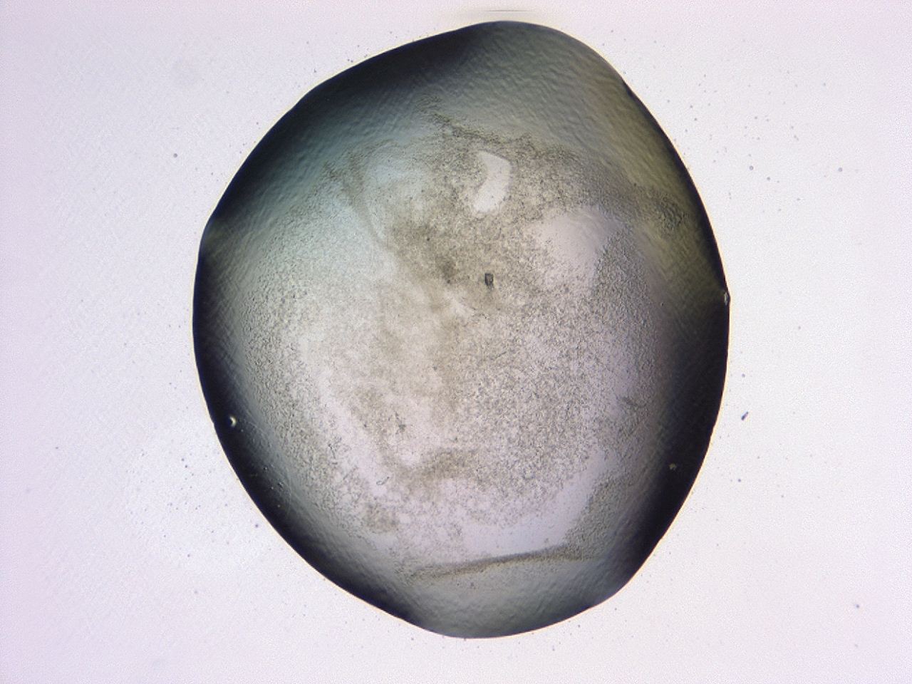 047b_G9_ImagerDefaults_3.jpg
