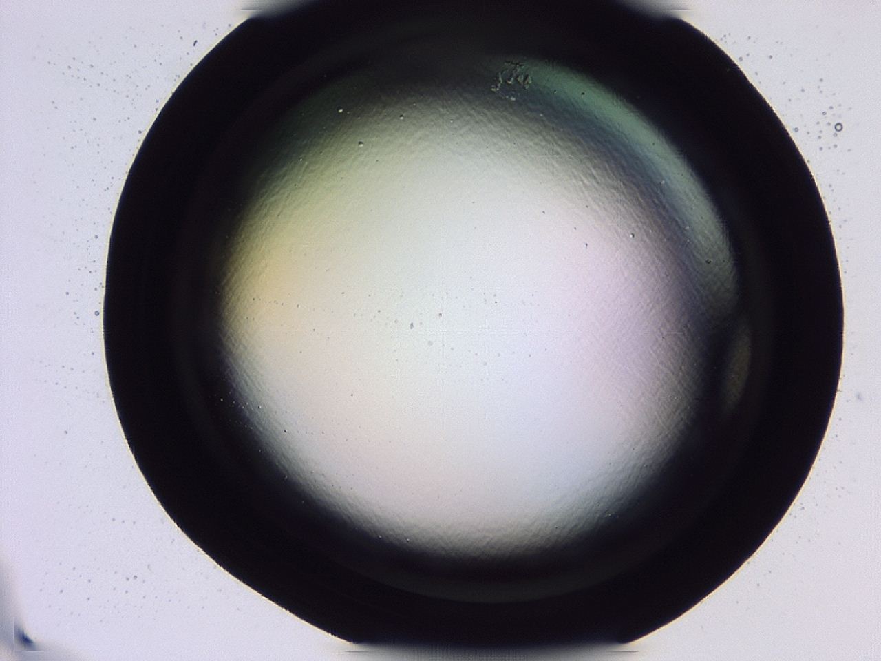 047b_G10_ImagerDefaults_0.jpg