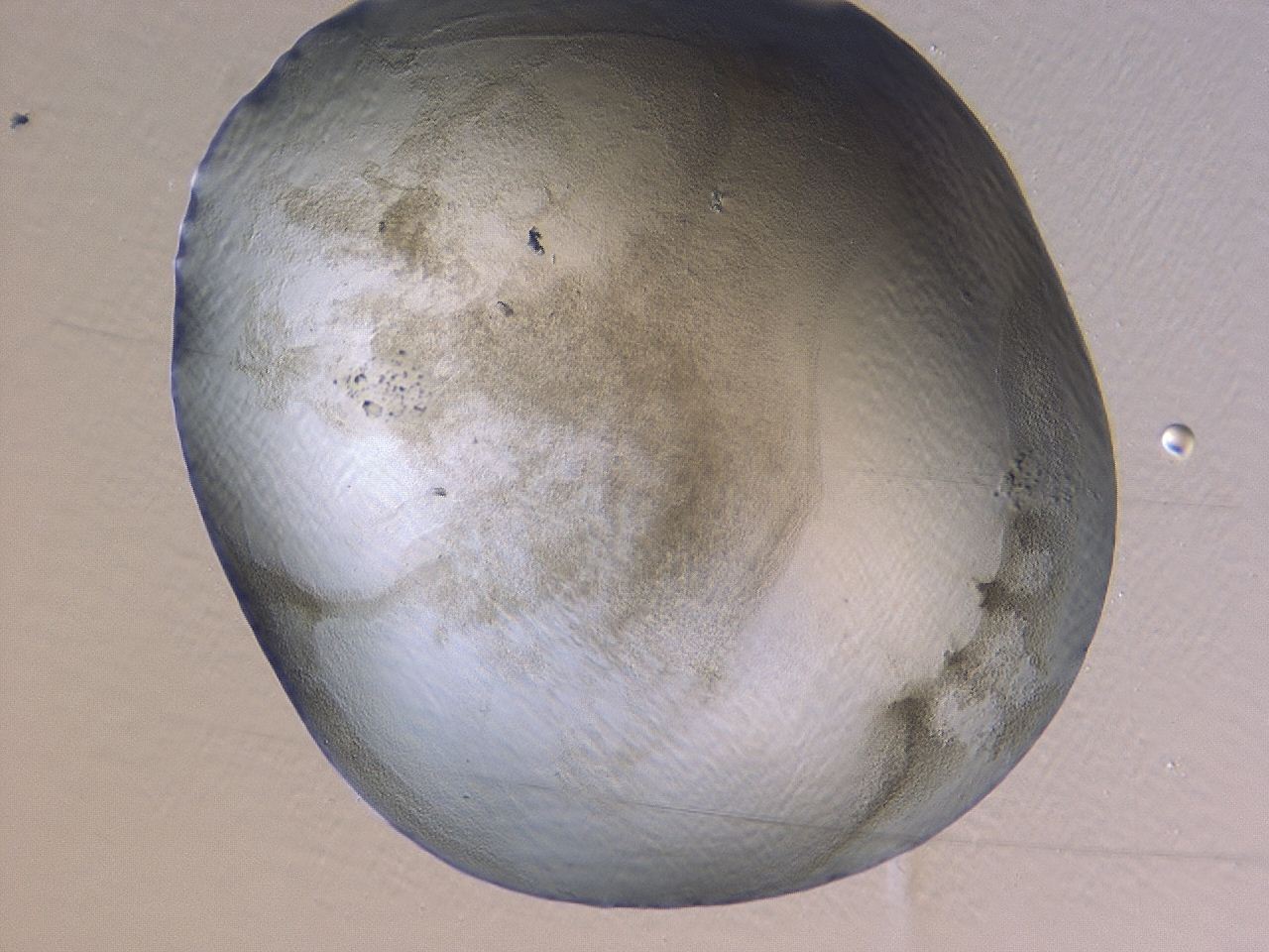 047b_H1_ImagerDefaults_3.jpg