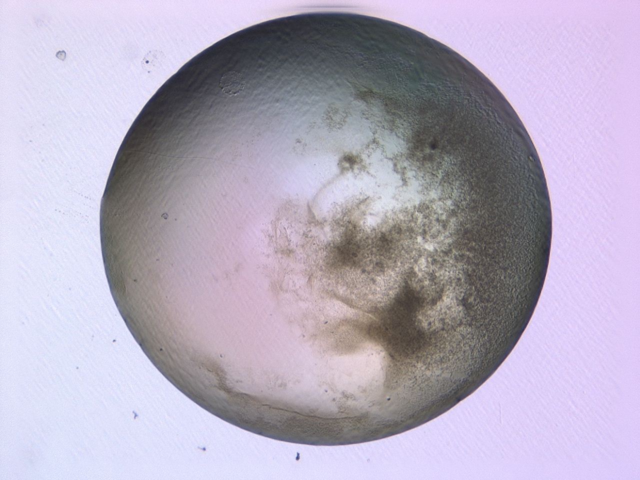 047b_H2_ImagerDefaults_3.jpg