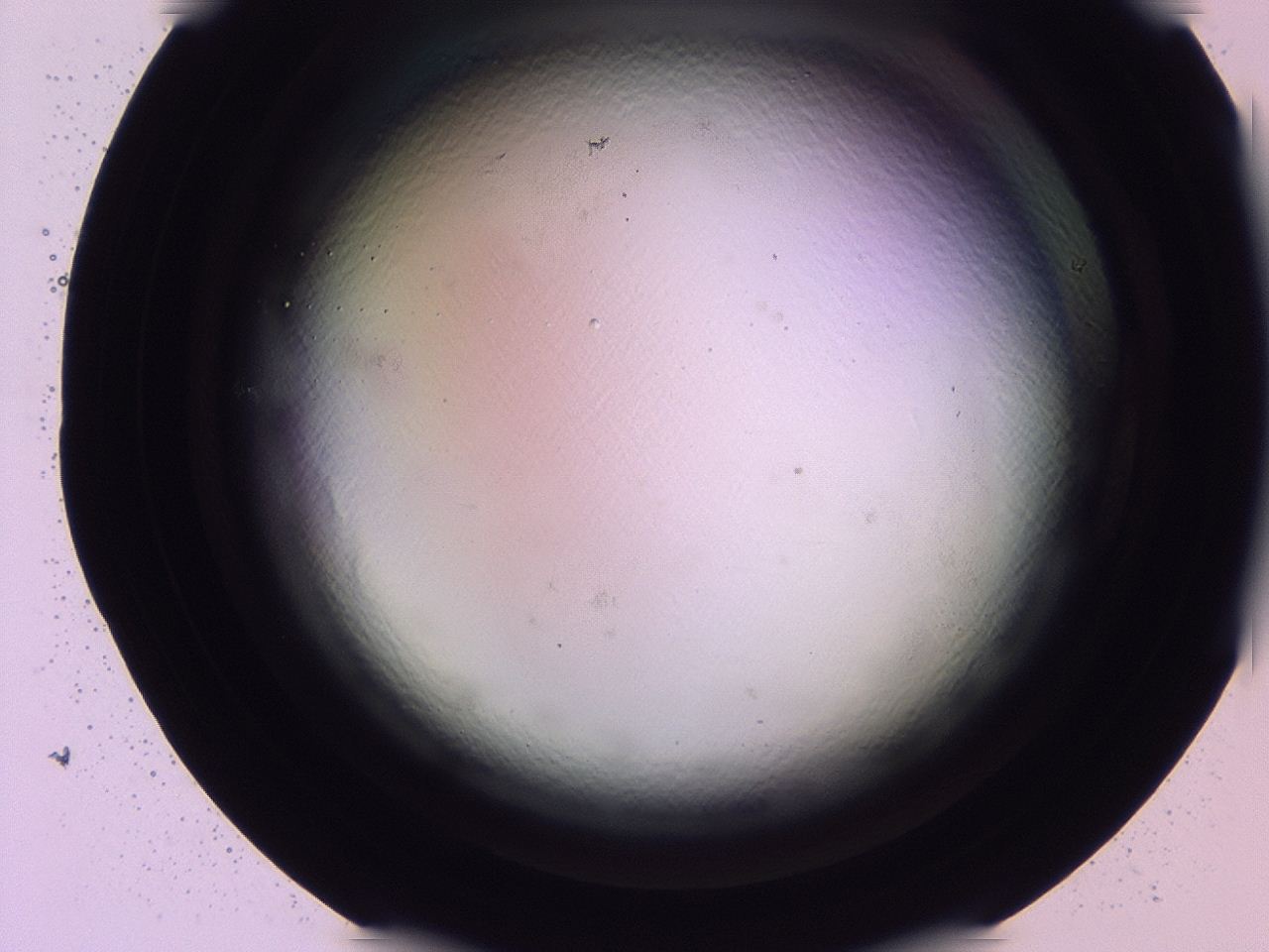 047b_H6_ImagerDefaults_0.jpg