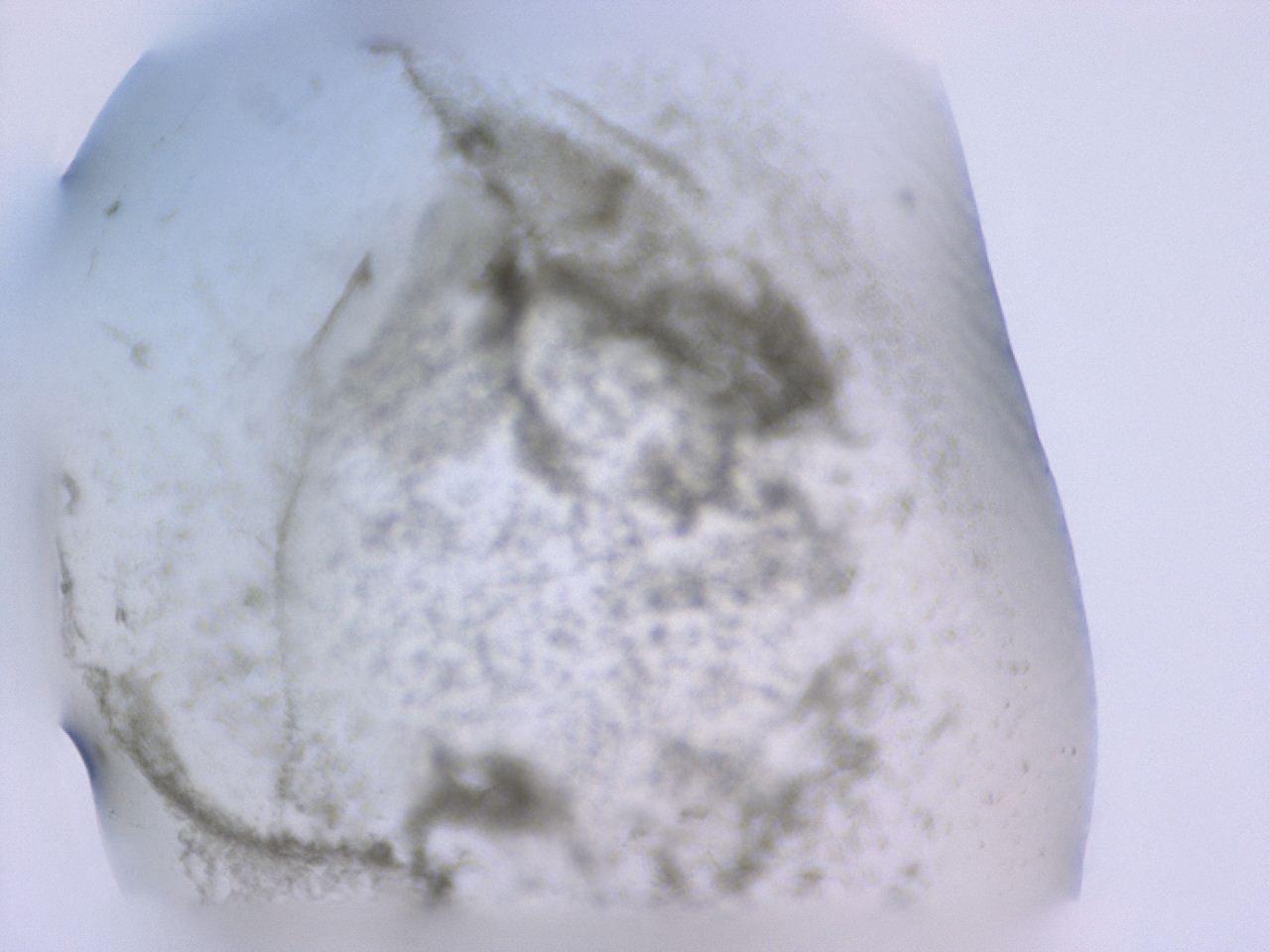047c_E5_ImagerDefaults_3.jpg