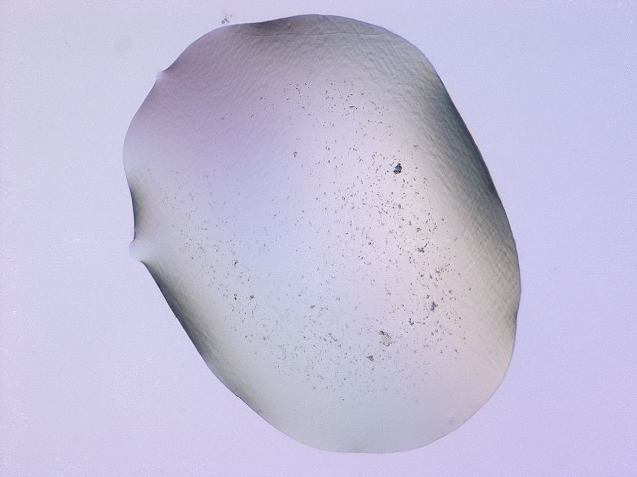 047c_E6_ImagerDefaults_3.jpg