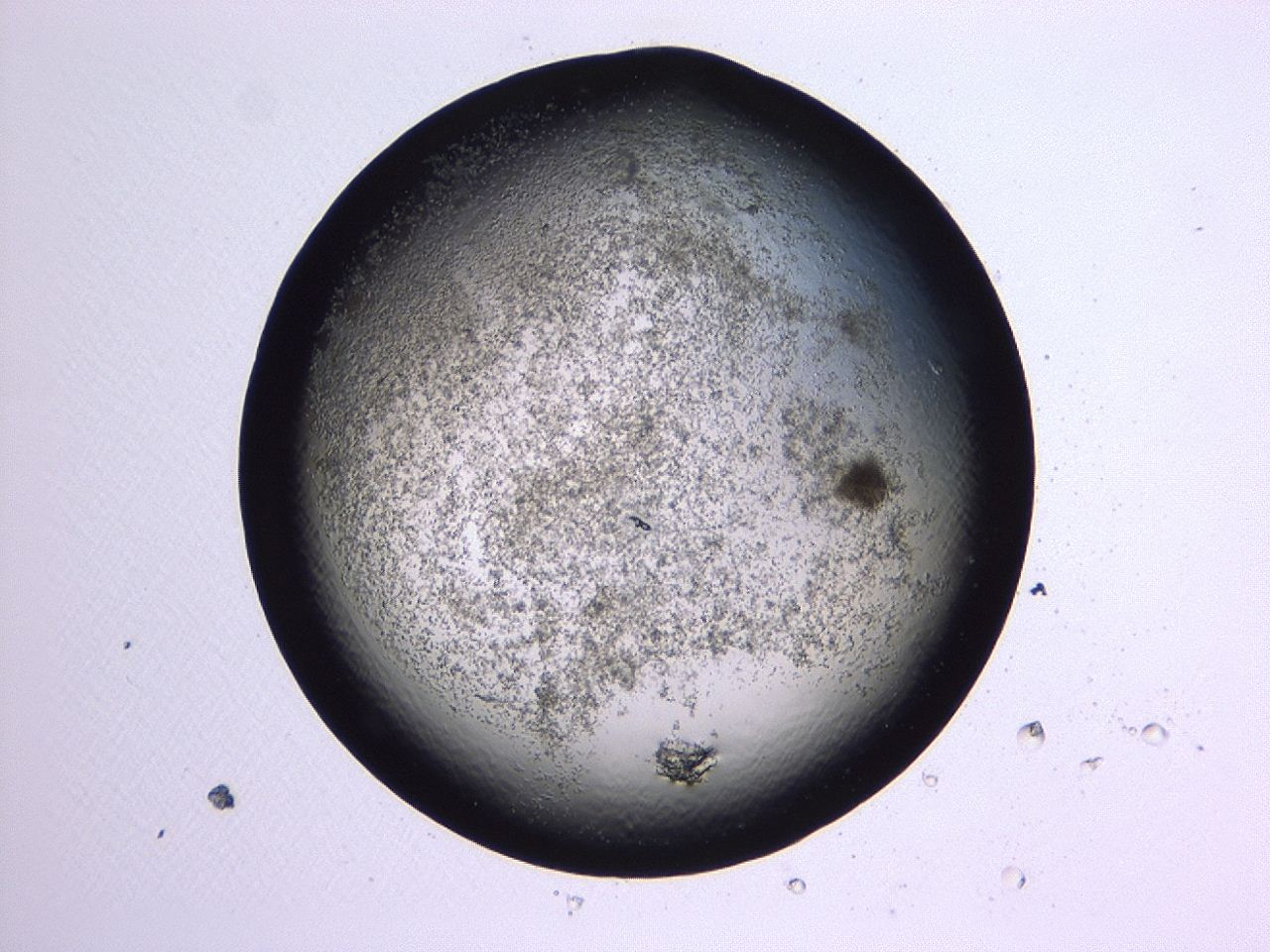 047c_A12_ImagerDefaults_3.jpg