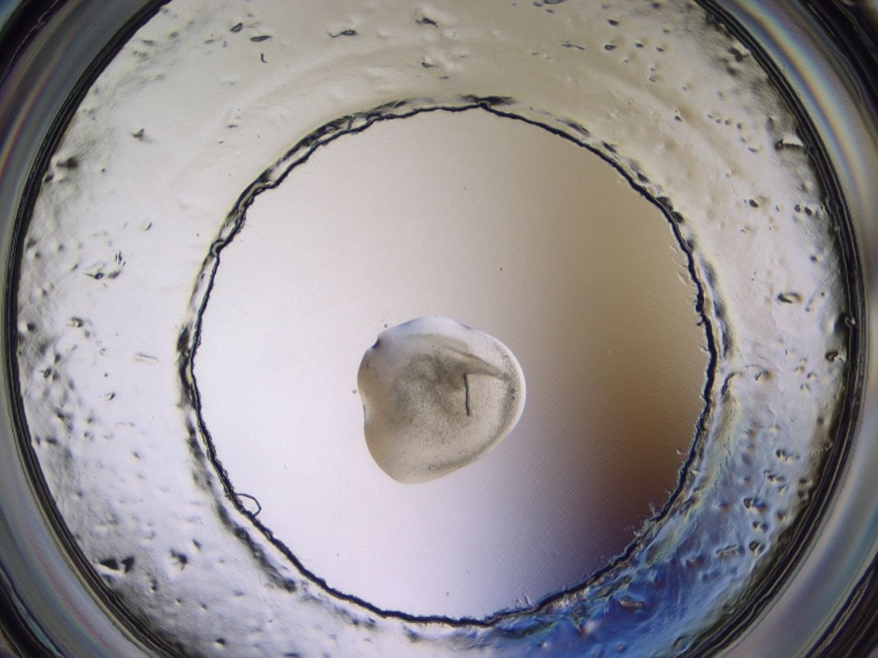 047c_A1_ImagerDefaults_3.jpg
