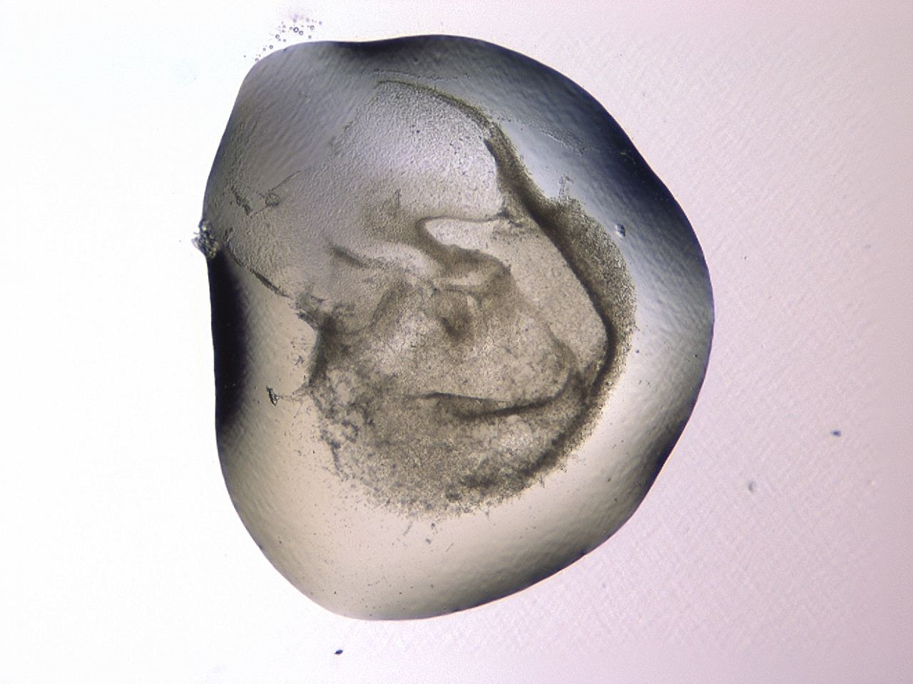 047c_A5_ImagerDefaults_3.jpg