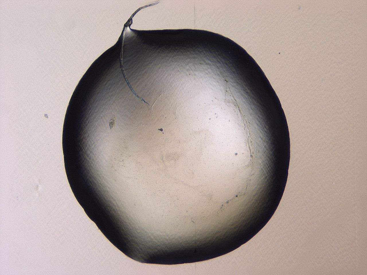 047c_A6_ImagerDefaults_1.jpg