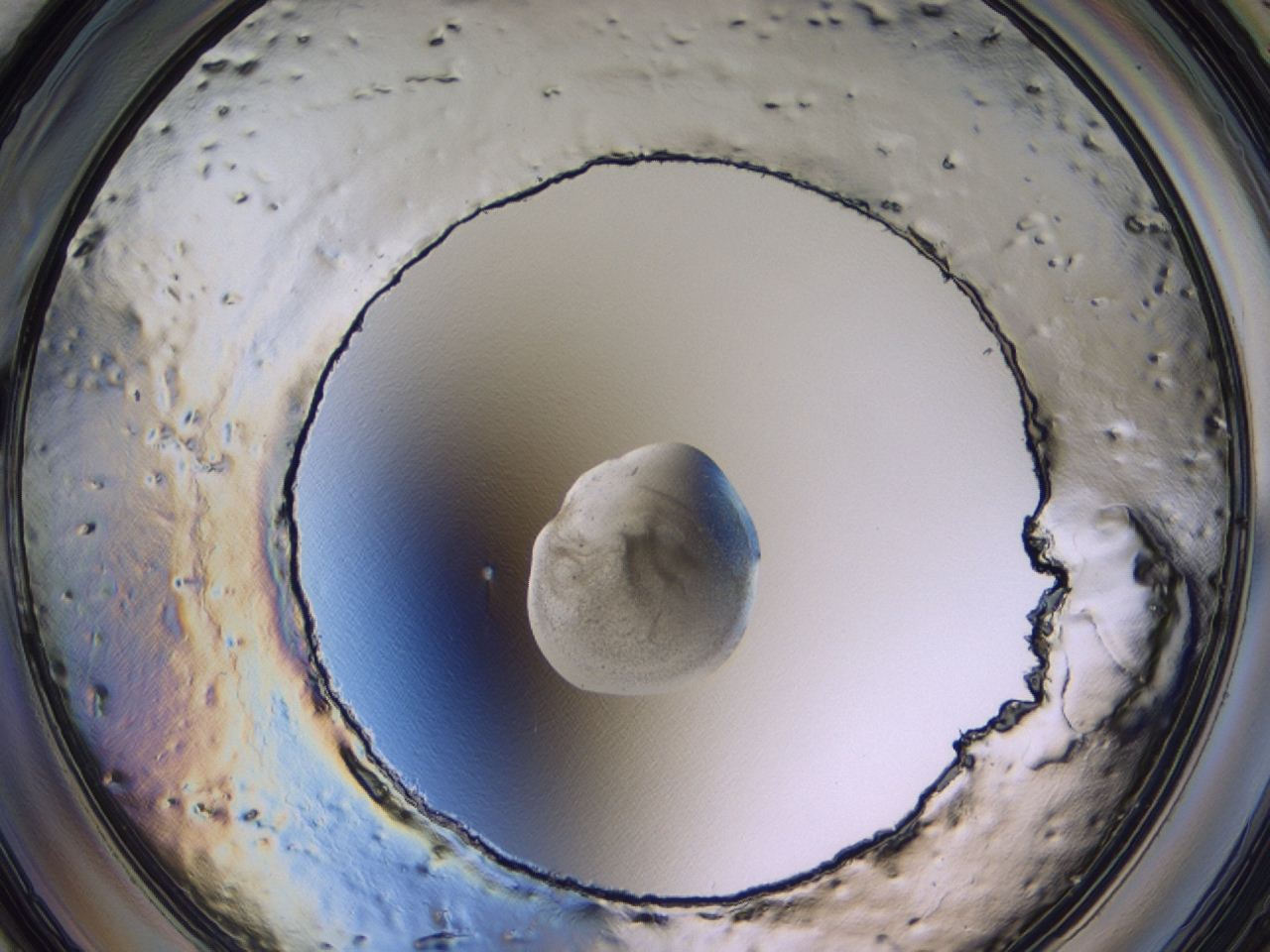 047c_A7_ImagerDefaults_3.jpg