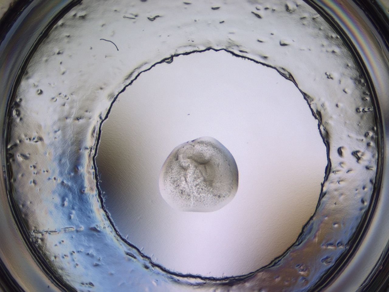 047c_A8_ImagerDefaults_3.jpg
