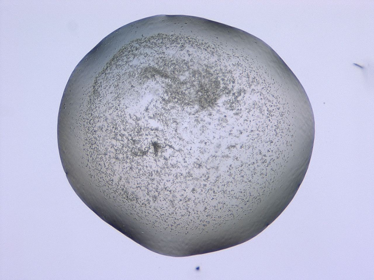047c_B10_ImagerDefaults_3.jpg