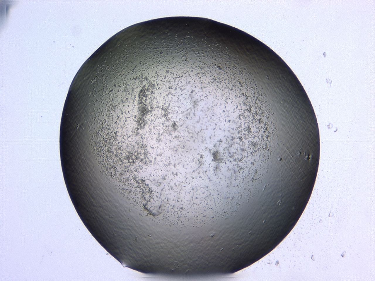 047c_B12_ImagerDefaults_3.jpg