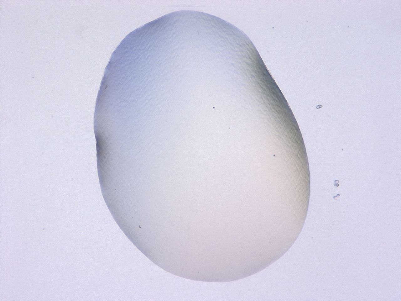 047c_E8_ImagerDefaults_1.jpg