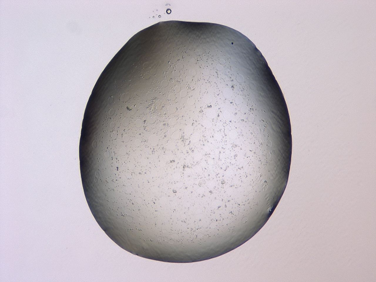 047c_A10_ImagerDefaults_3.jpg
