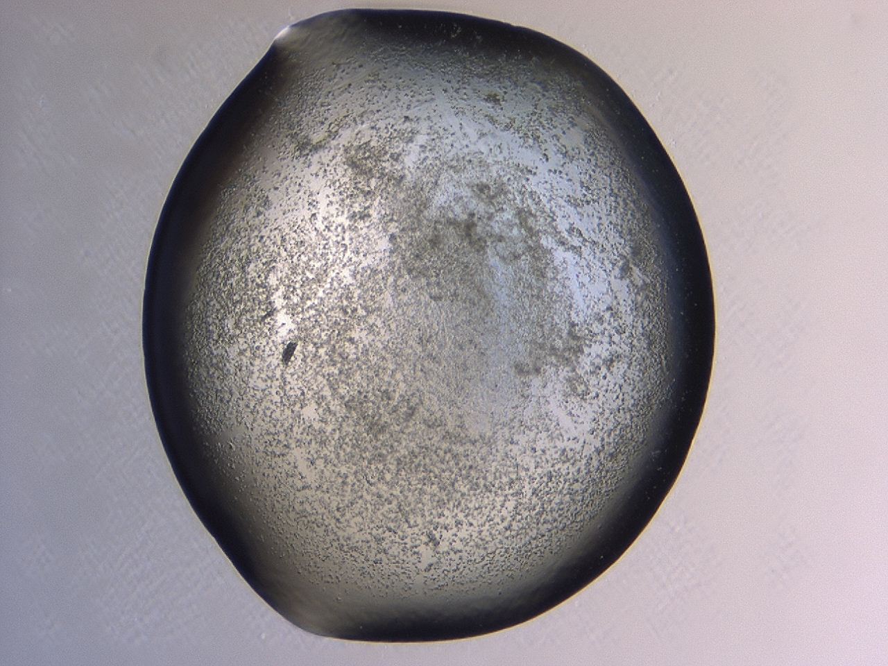 047c_A11_ImagerDefaults_3.jpg