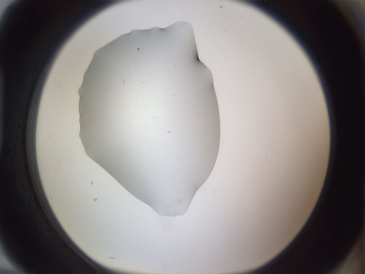 folderID458_plateID3458_batchID20204_wellNum94_profileID1_d1_r310653_ef.jpg