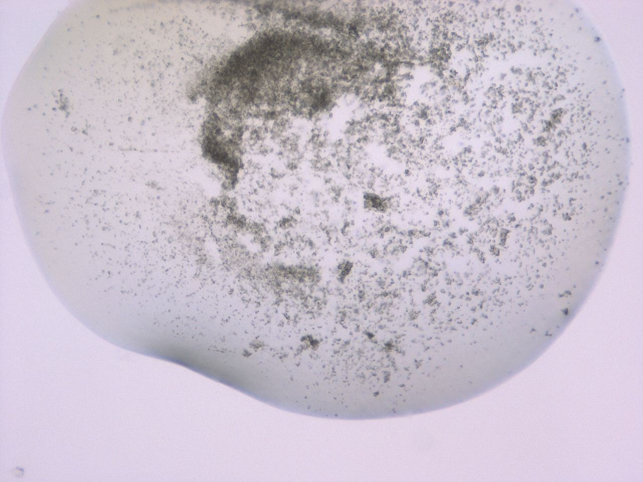 047c_C6_ImagerDefaults_3.jpg