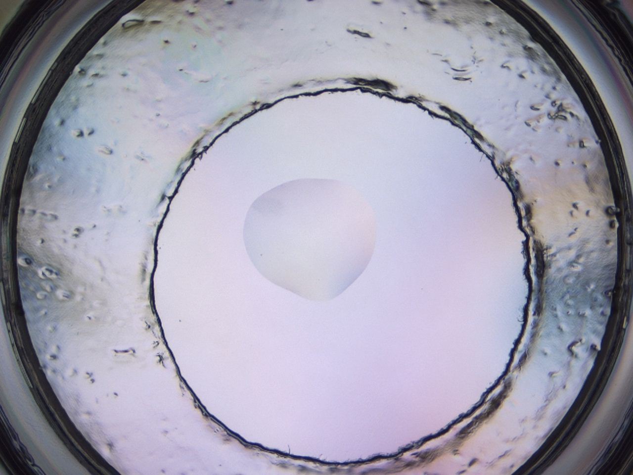 047c_C9_ImagerDefaults_1.jpg