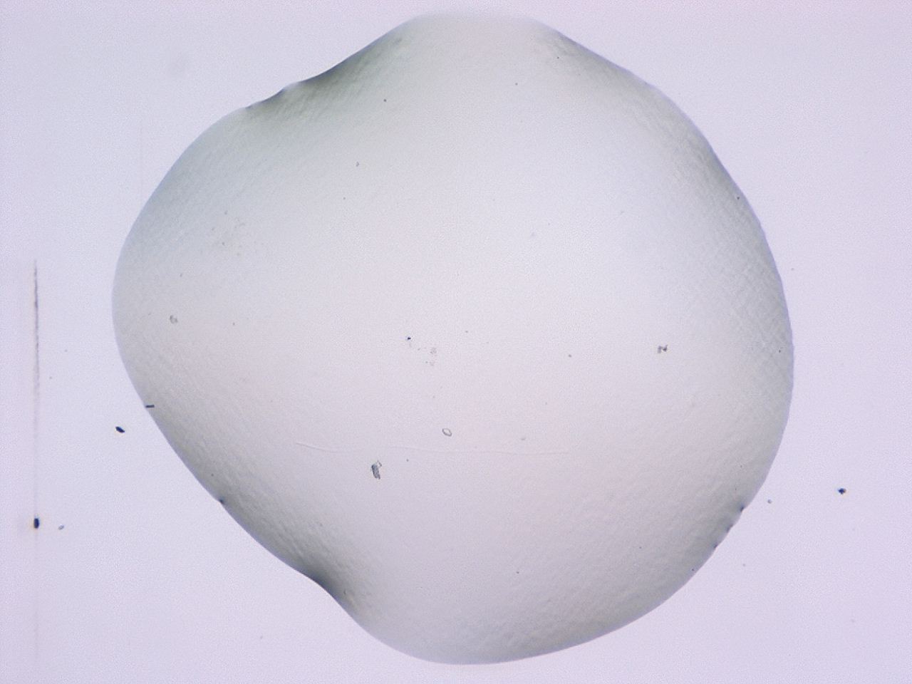 047c_C10_ImagerDefaults_1.jpg