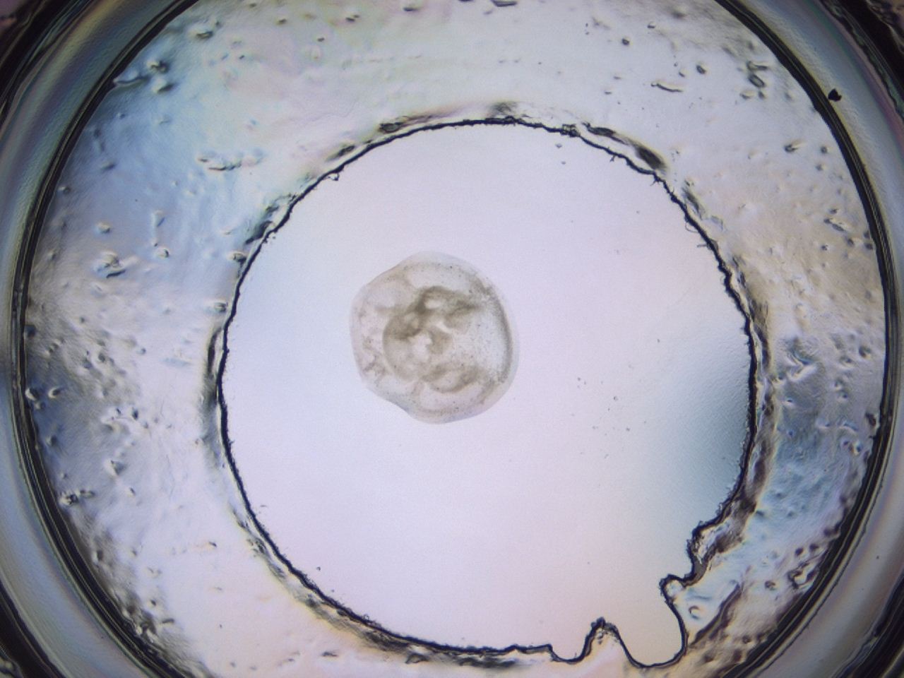 047c_C11_ImagerDefaults_3.jpg