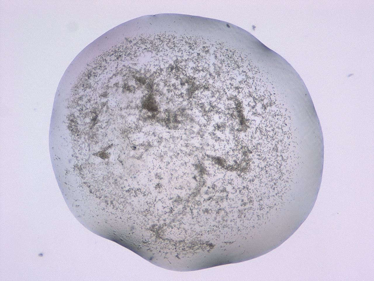047c_C12_ImagerDefaults_3.jpg