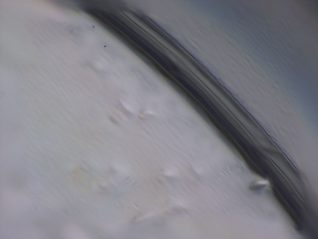 047c_D2_ImagerDefaults_3.jpg