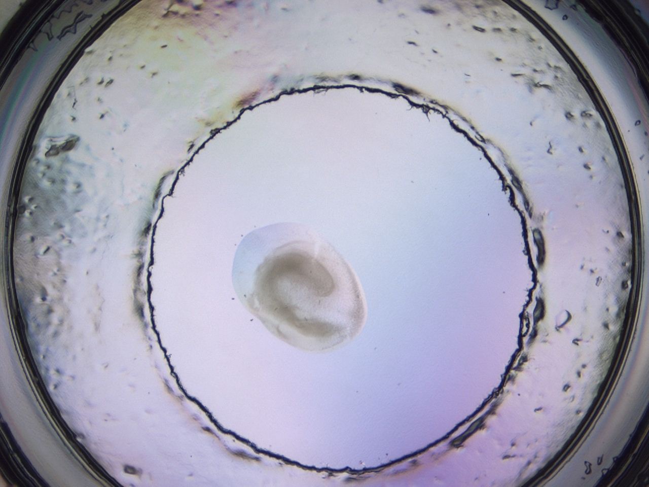 047c_D5_ImagerDefaults_3.jpg