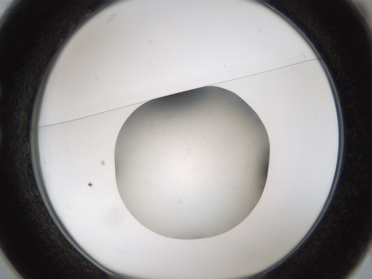 folderID45_plateID1045_batchID2391_wellNum25_profileID1_d1_r47040_ef.jpg