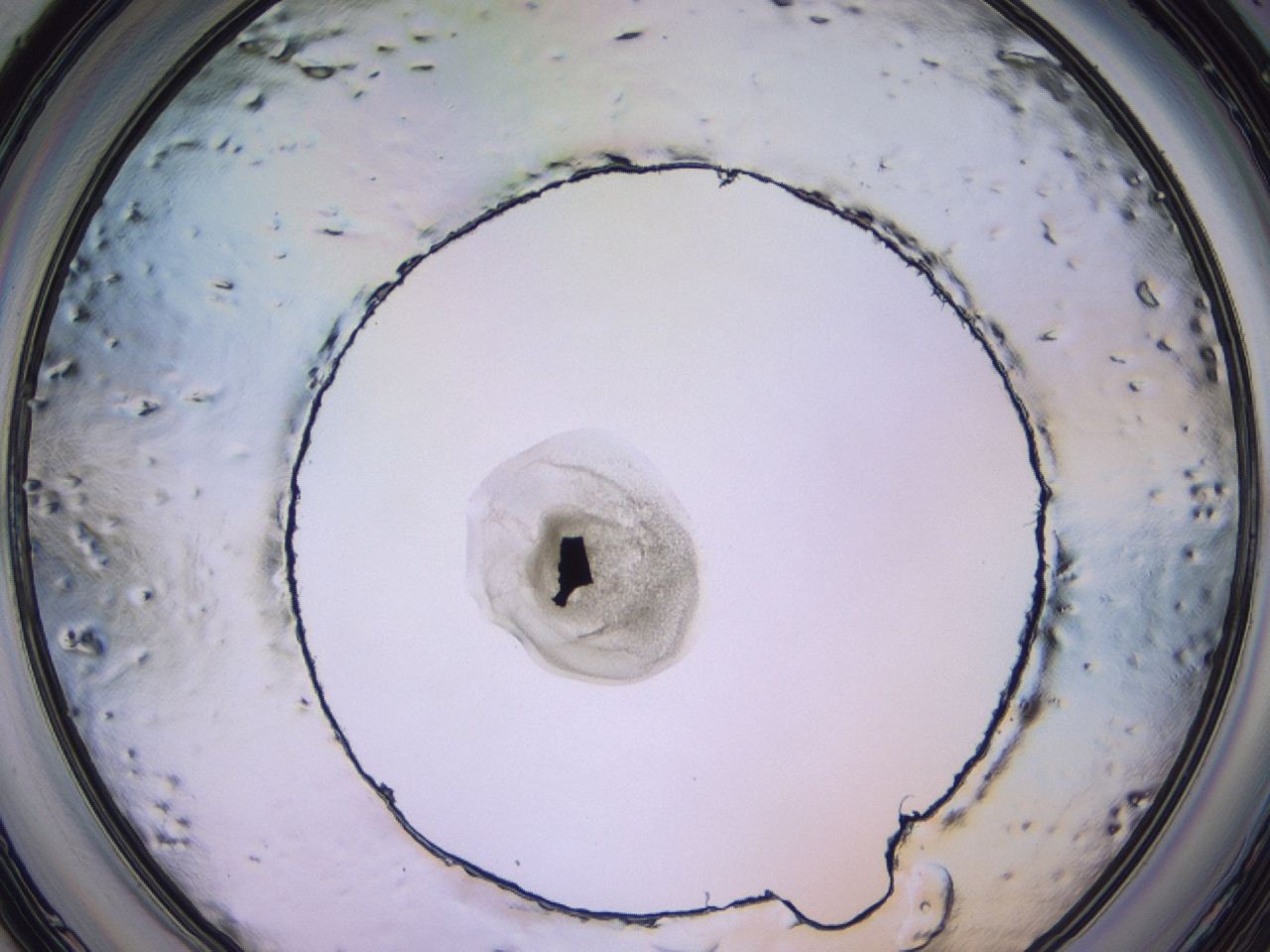 047c_D7_ImagerDefaults_3.jpg