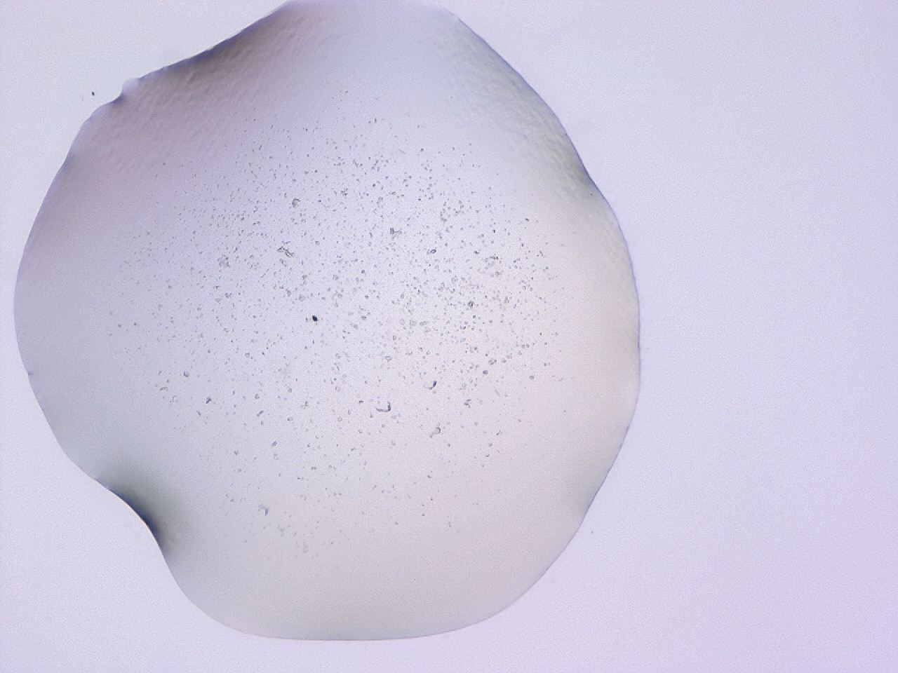 047c_D8_ImagerDefaults_3.jpg