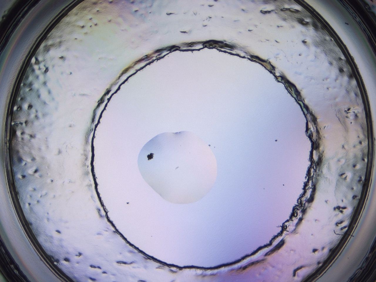 047c_D9_ImagerDefaults_1.jpg