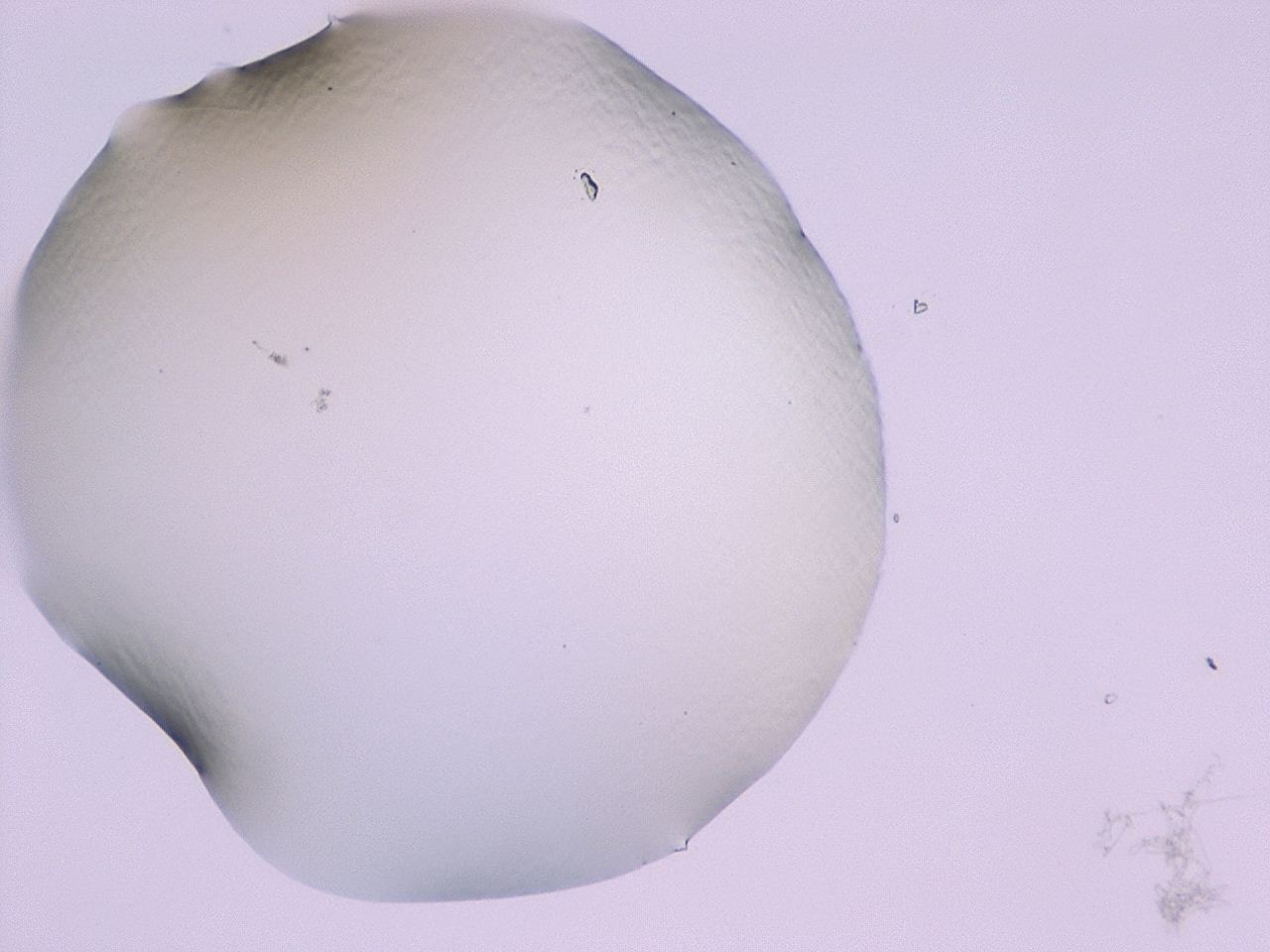 047c_D10_ImagerDefaults_1.jpg