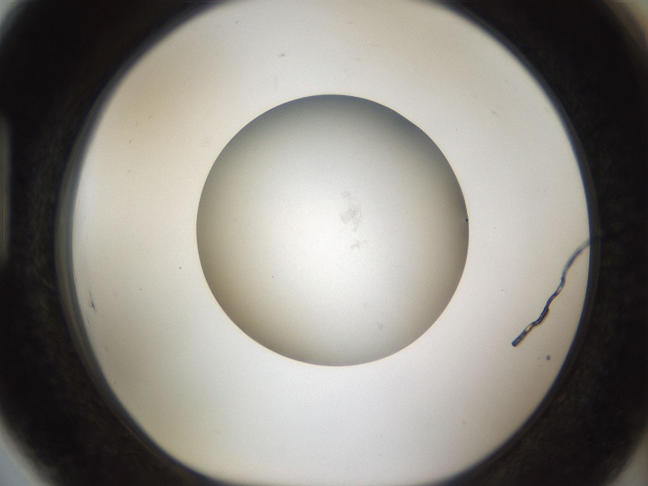 folderID45_plateID1045_batchID2065_wellNum89_profileID1_d1_r47104_ef.jpg
