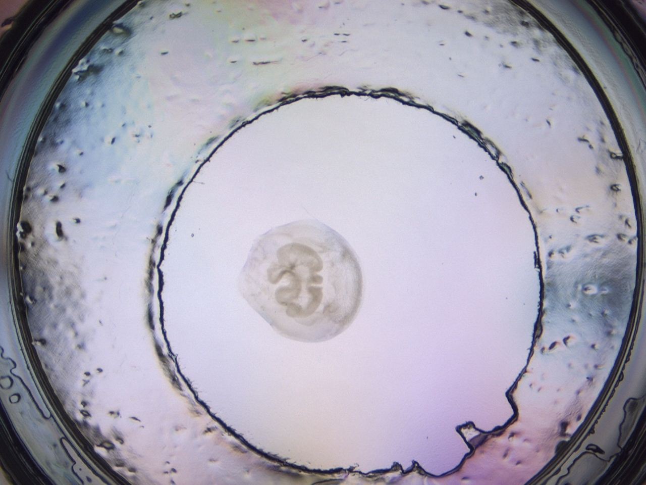 047c_D11_ImagerDefaults_3.jpg