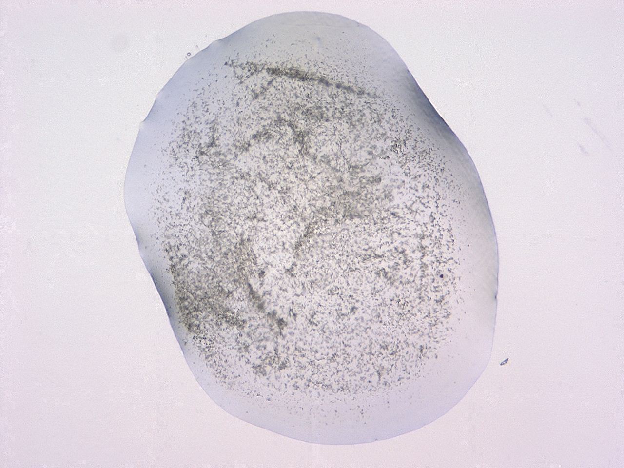 047c_E11_ImagerDefaults_3.jpg