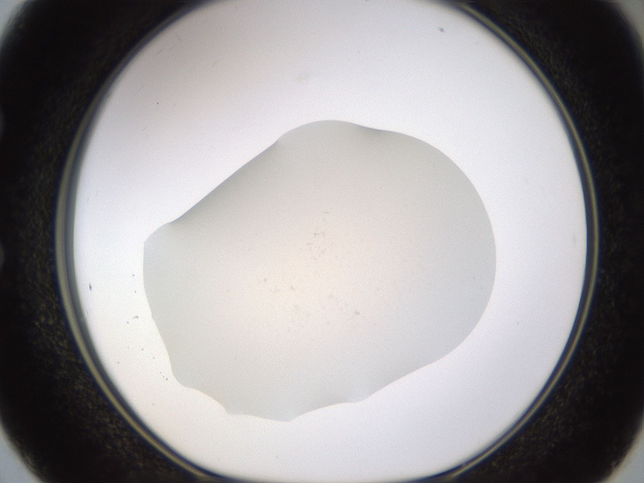 folderID461_plateID1461_batchID5511_wellNum50_profileID1_d1_r92590_ef.jpg