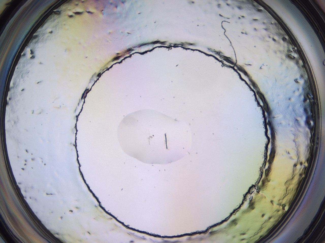 047c_F1_ImagerDefaults_1.jpg